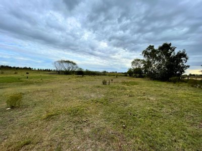 Venta Una Hectárea de Terreno en Colonia 