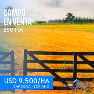 Campo en Soriano