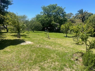 Extenso terreno en zona real de sancarlos! 