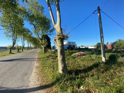 En Venta Terreno en Ferrando