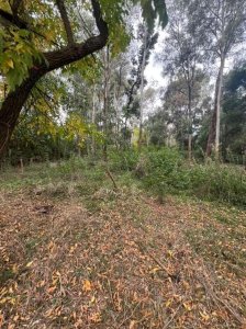 terreno el balneario el ENSUEÑO 