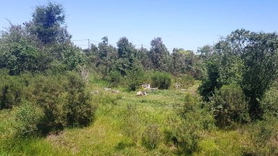 Gran terreno de 625mts2!! Posible Financiación! 