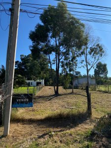 Terreno En Venta Celedoño Rojas 