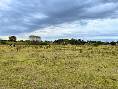 Venta de Terreno de una Hectárea en Colonia