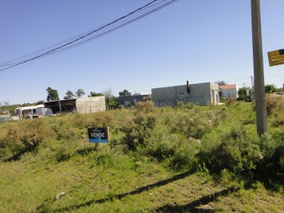 Venta Terreno Los Algodones 