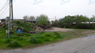 Terreno En Esquina - Colonia