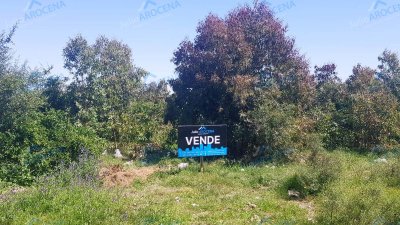 Terreno 628 m² - Colonia