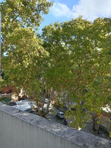 ALQUILER APARTAMENTO 1 DORMITORIO EN LA UNION
