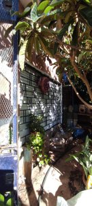 Venta de Casa y Apartamento en Piedras Blancas