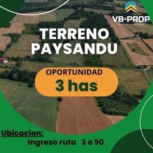 Venta Chacra Paysandú Golf Ruta 90 Ruta 3 Campo 