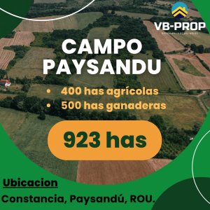 Venta campo Paysandú Uruguay La constancia  