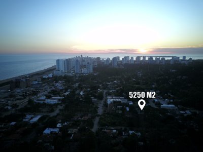 Terreno de 5250 m2 con 140 metros de frente (Toda la cuadra) y 37,5 de Profundidad en San Rafael Maldonado