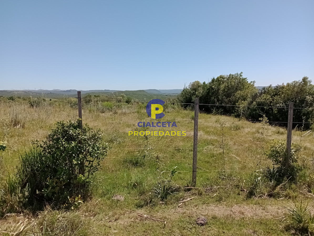 Las Cañas - GoPunta - Portal Inmobiliario de Punta del Este - Maldonado