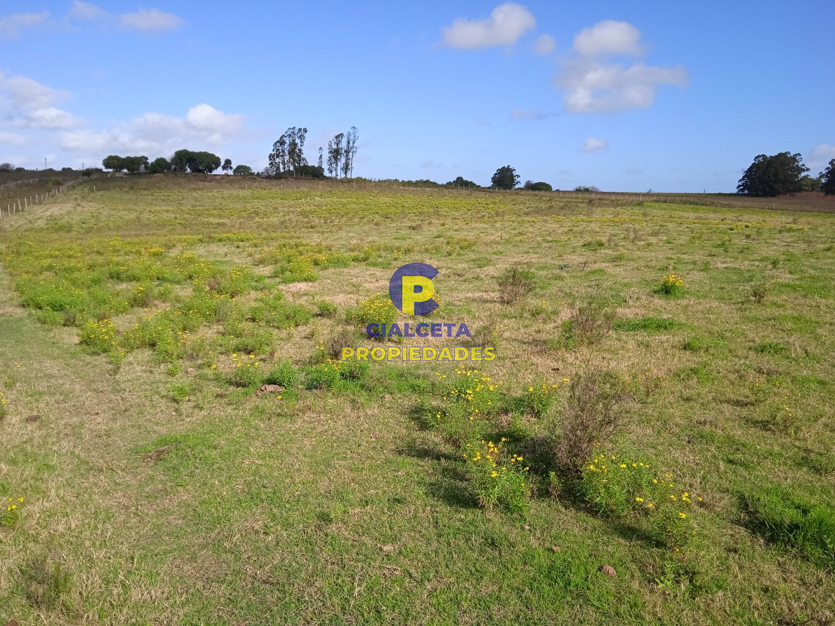 Migues - GoPunta - Portal Inmobiliario de Punta del Este - Maldonado