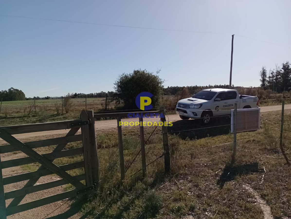 Propiedad - GoPunta - Portal Inmobiliario de Punta del Este - Maldonado