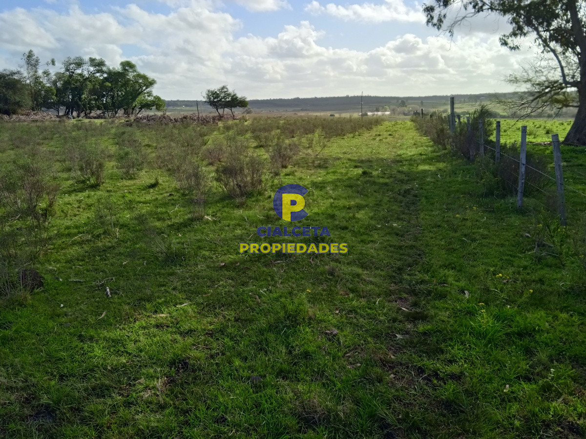Migues - GoPunta - Portal Inmobiliario de Punta del Este - Maldonado