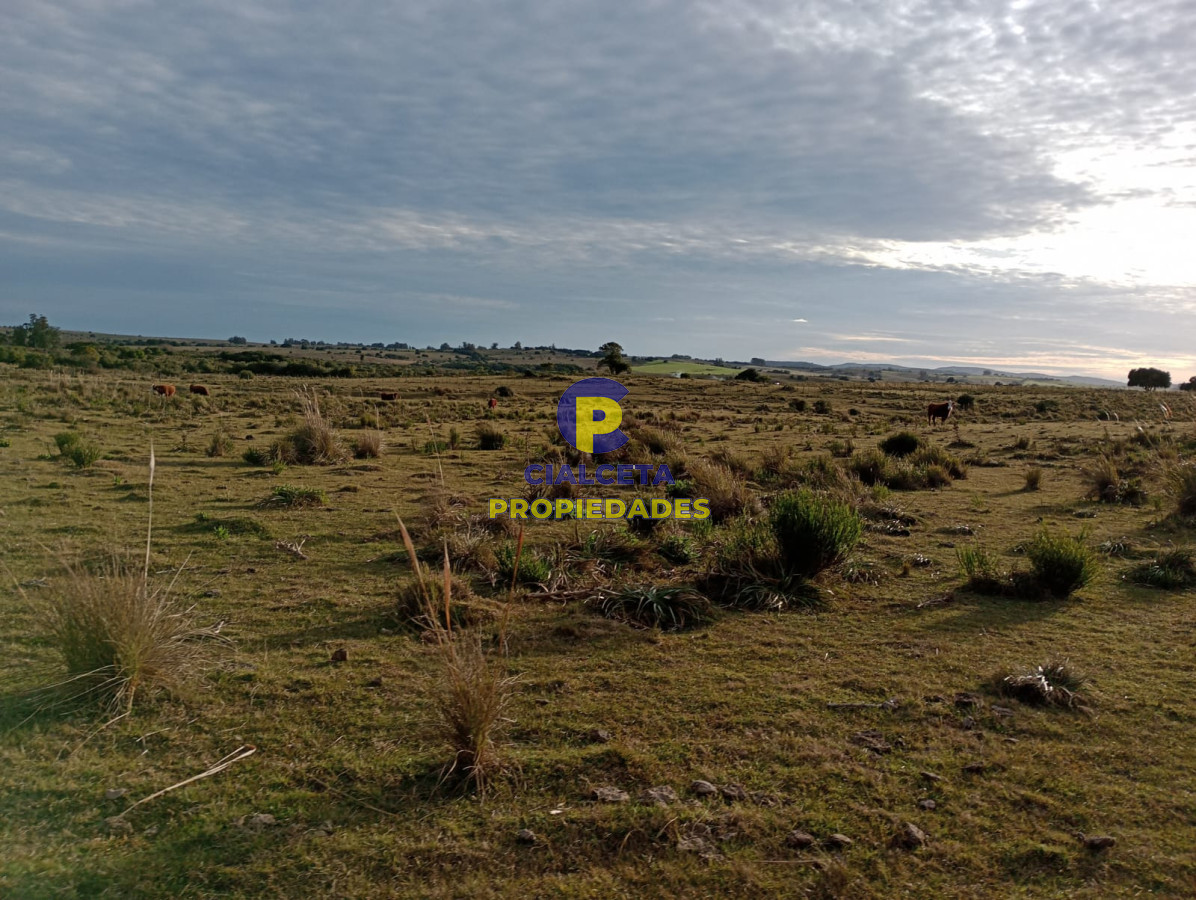 Garzon - GoPunta - Portal Inmobiliario de Punta del Este - Maldonado