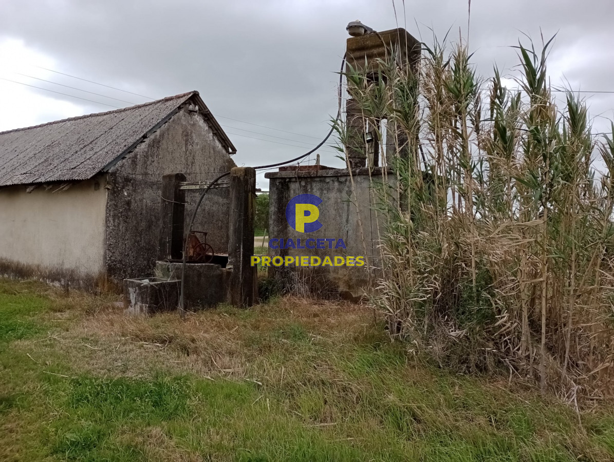 Propiedad - GoPunta - Portal Inmobiliario de Punta del Este - Maldonado