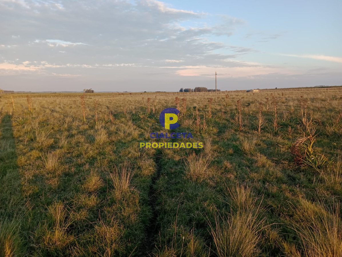 Garzon - GoPunta - Portal Inmobiliario de Punta del Este - Maldonado