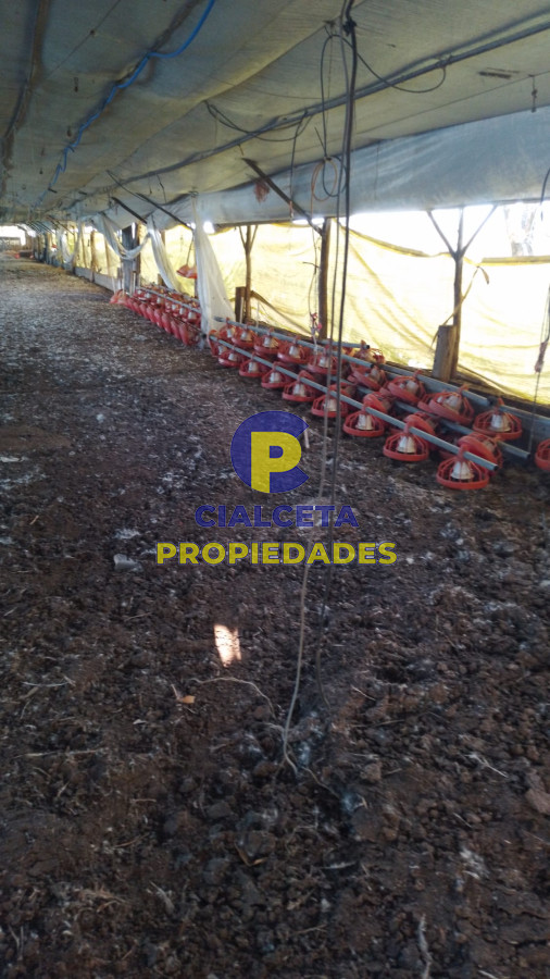 Santa Rosa - GoPunta - Portal Inmobiliario de Punta del Este - Maldonado