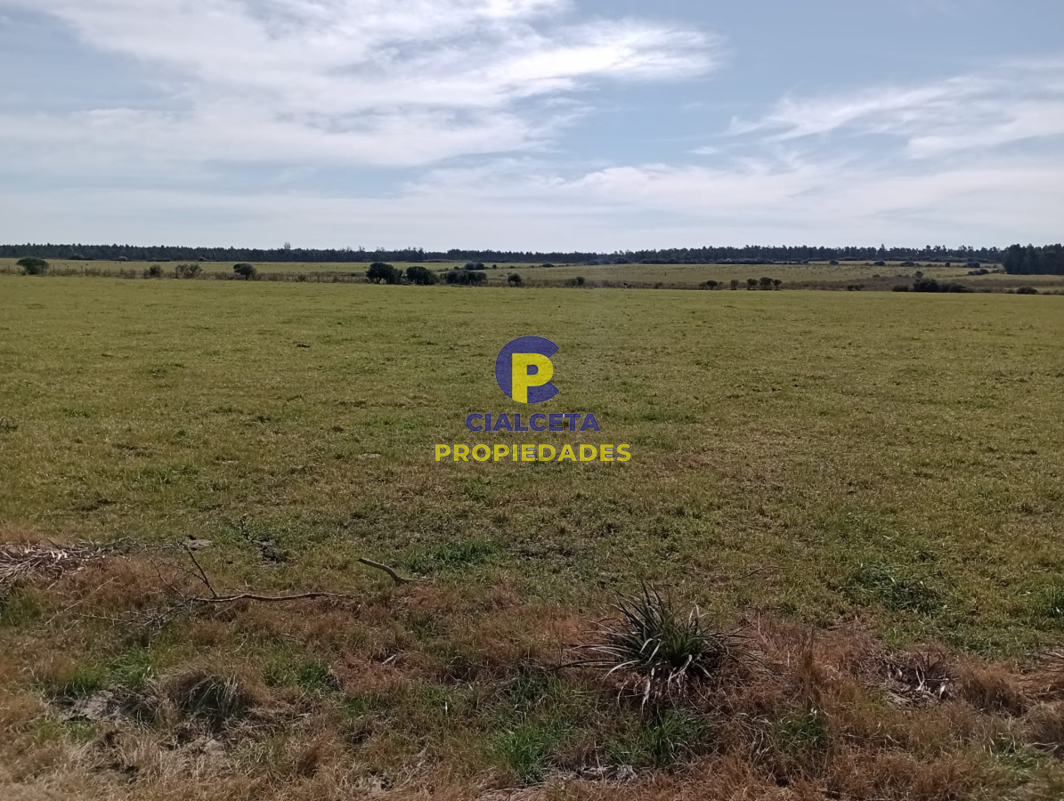 Solis - GoPunta - Portal Inmobiliario de Punta del Este - Maldonado