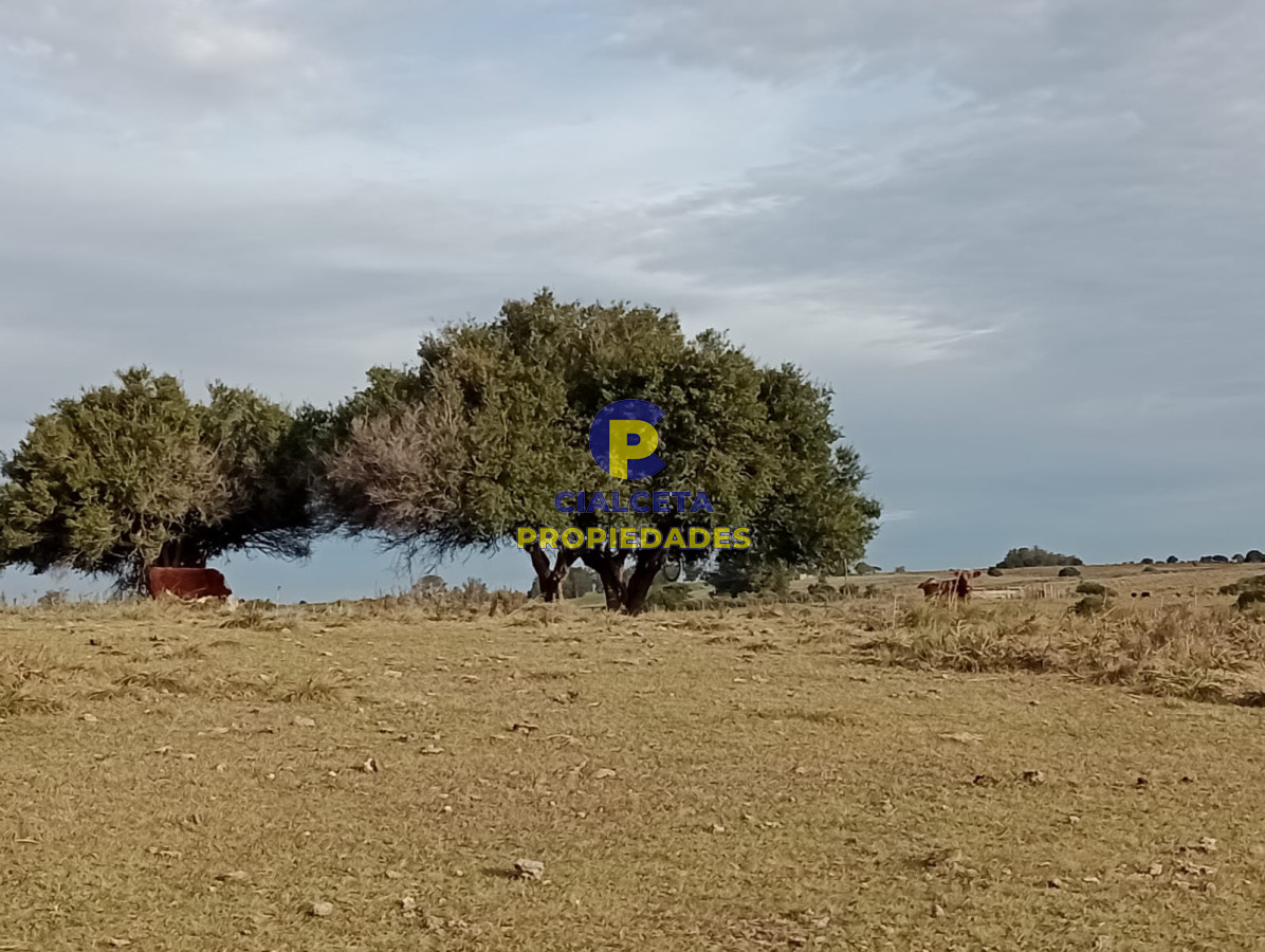 Garzon - GoPunta - Portal Inmobiliario de Punta del Este - Maldonado