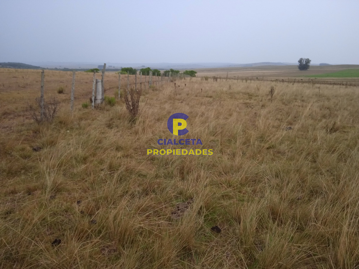 Los Talas - GoPunta - Portal Inmobiliario de Punta del Este - Maldonado