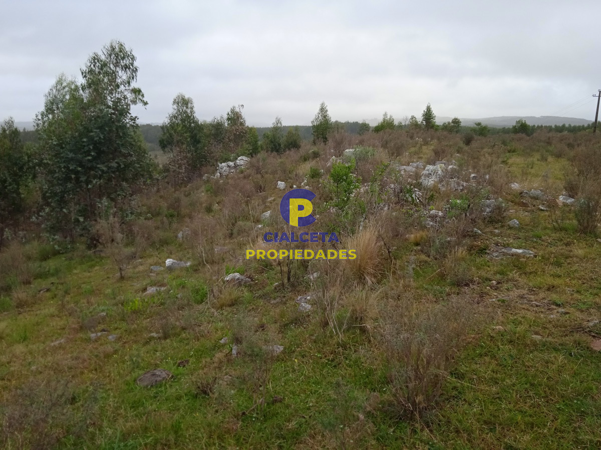 Rocha - GoPunta - Portal Inmobiliario de Punta del Este - Maldonado