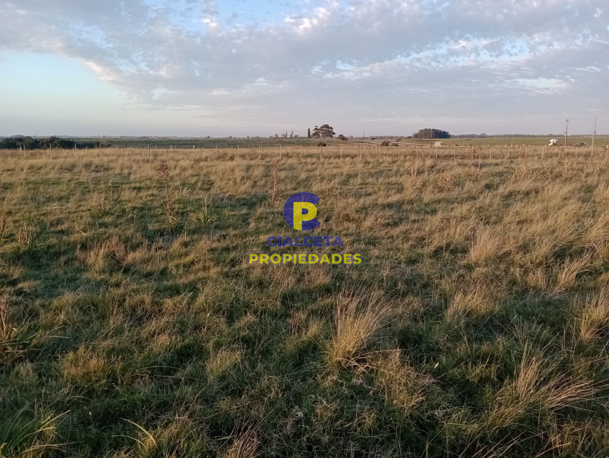 Garzon - GoPunta - Portal Inmobiliario de Punta del Este - Maldonado