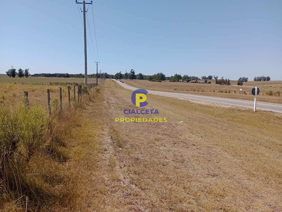 Zona Rural - GoPunta - Portal Inmobiliario de Punta del Este - Maldonado