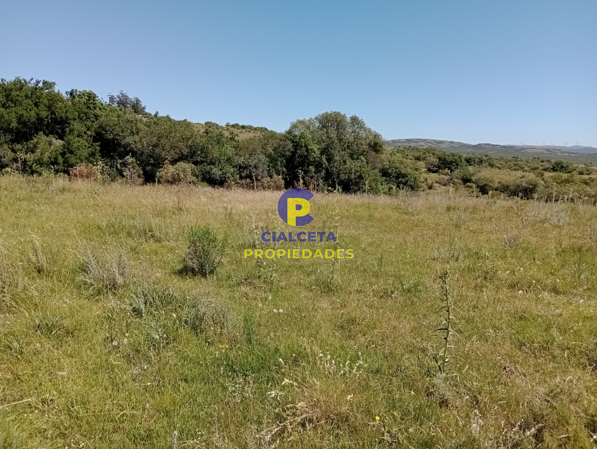 Las Cañas - GoPunta - Portal Inmobiliario de Punta del Este - Maldonado