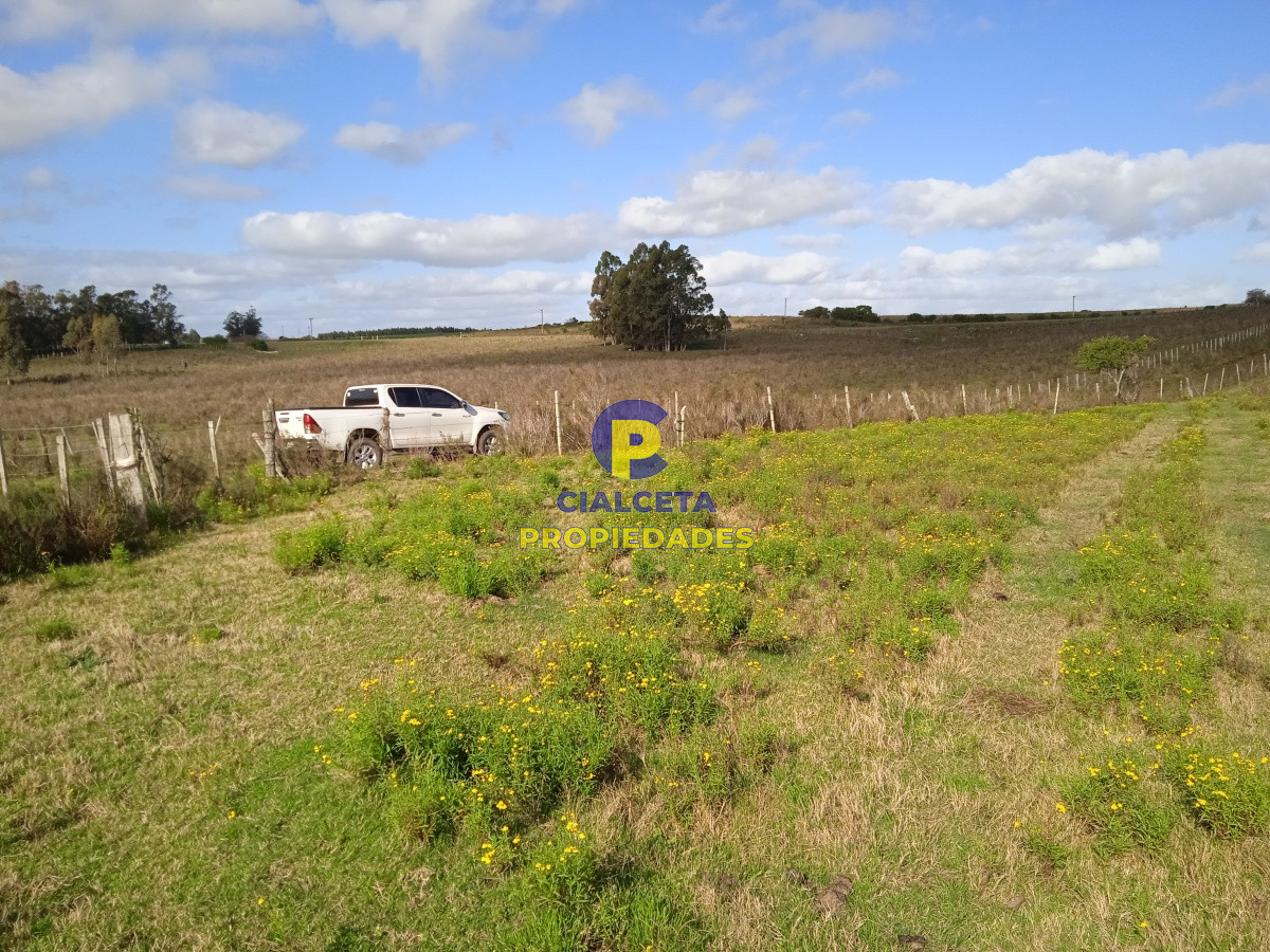 Migues - GoPunta - Portal Inmobiliario de Punta del Este - Maldonado