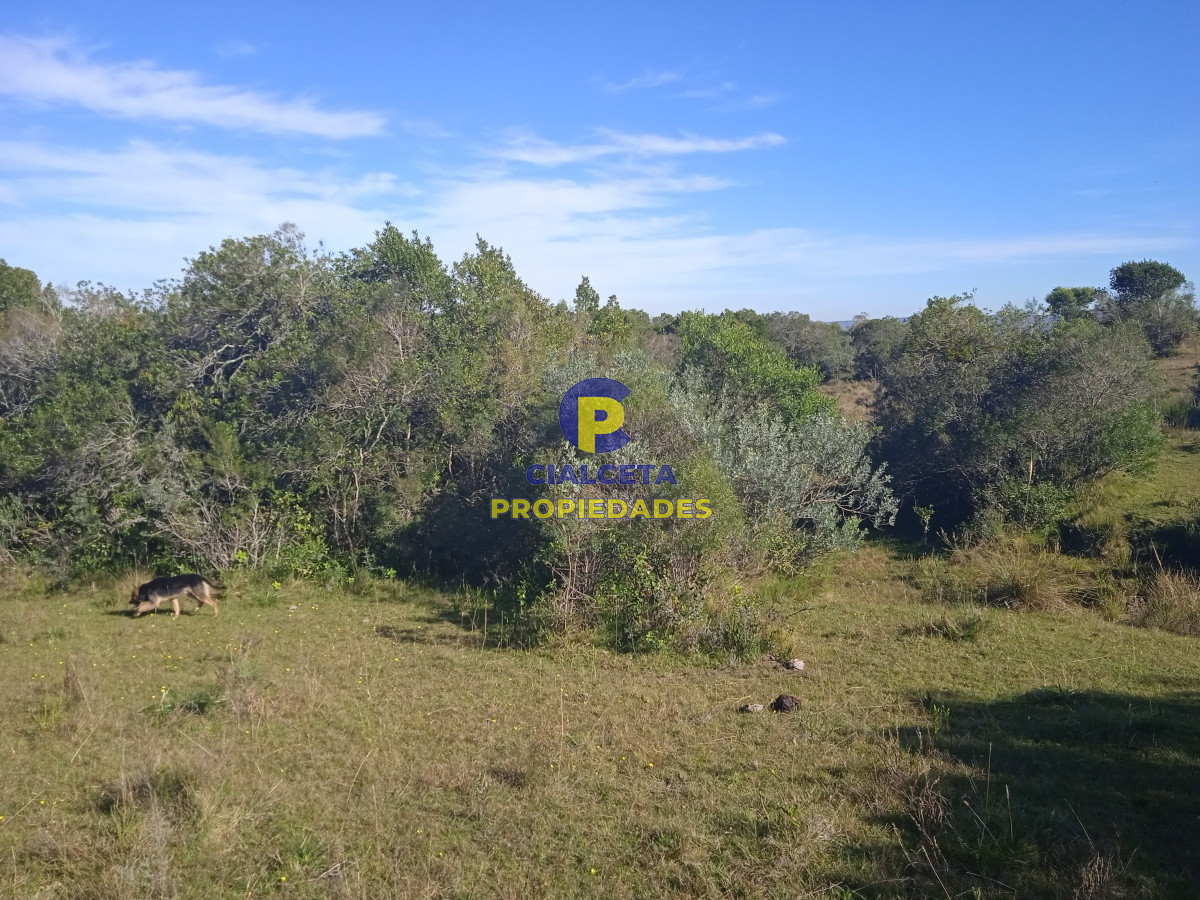 Las Cañas - GoPunta - Portal Inmobiliario de Punta del Este - Maldonado
