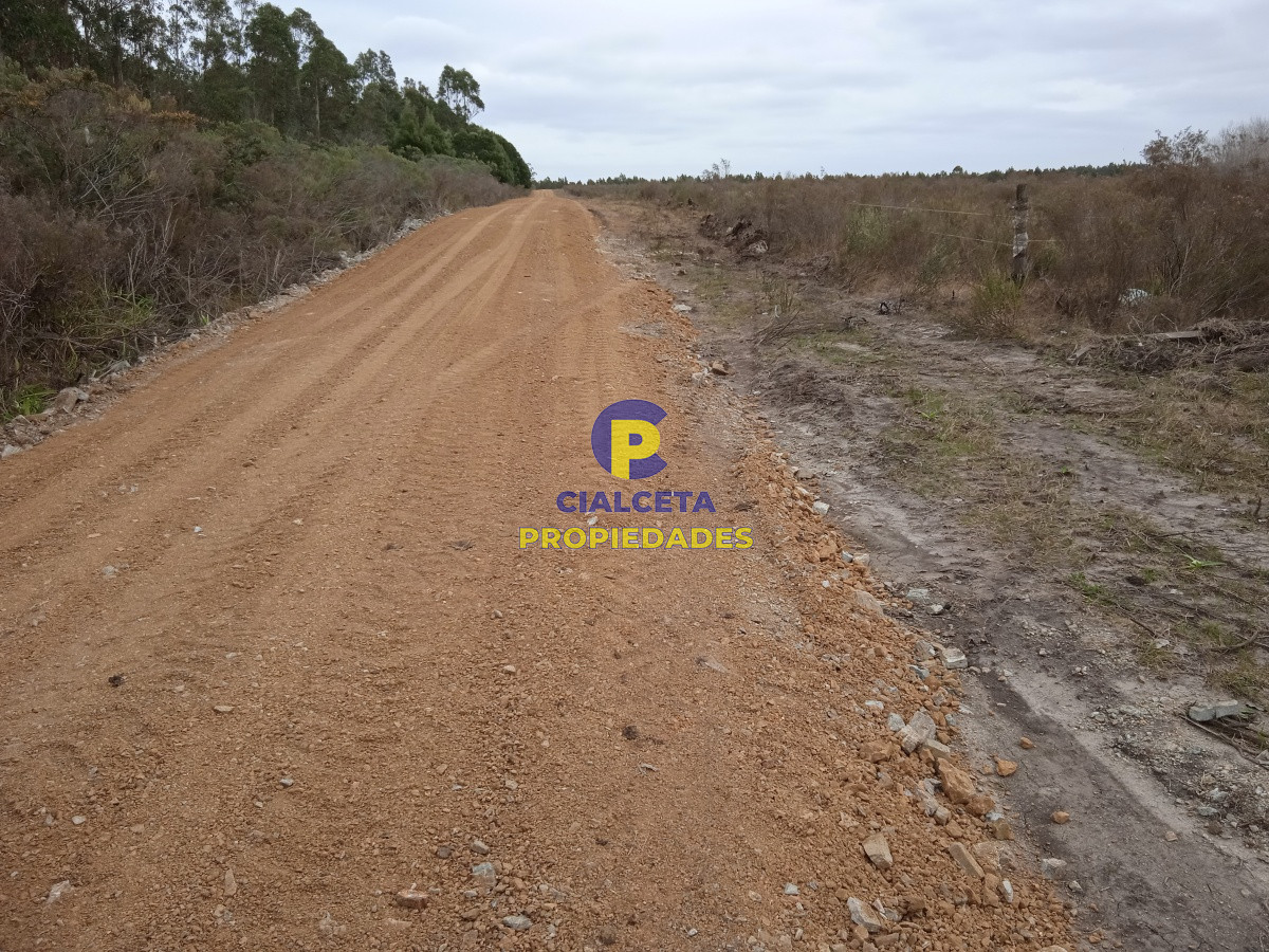 Canelones - GoPunta - Portal Inmobiliario de Punta del Este - Maldonado