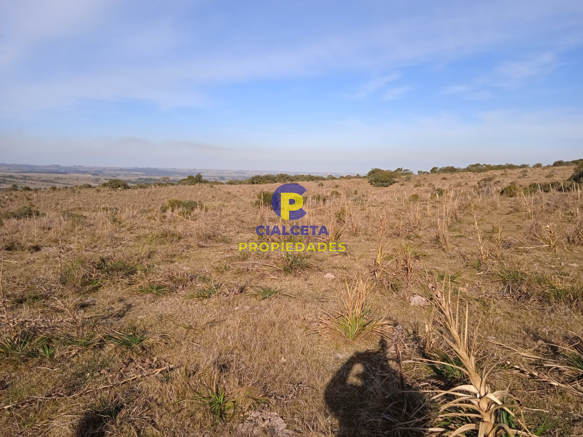 Garzon - GoPunta - Portal Inmobiliario de Punta del Este - Maldonado