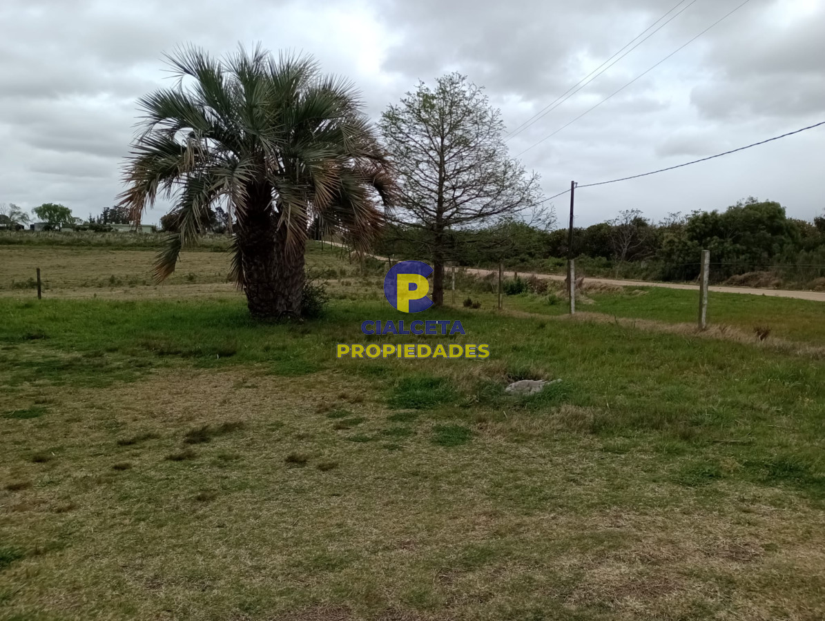 Propiedad - GoPunta - Portal Inmobiliario de Punta del Este - Maldonado