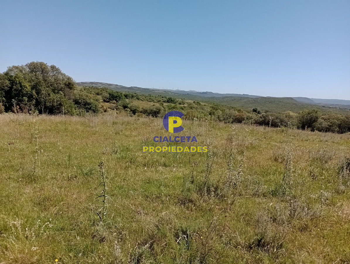 Las Cañas - GoPunta - Portal Inmobiliario de Punta del Este - Maldonado