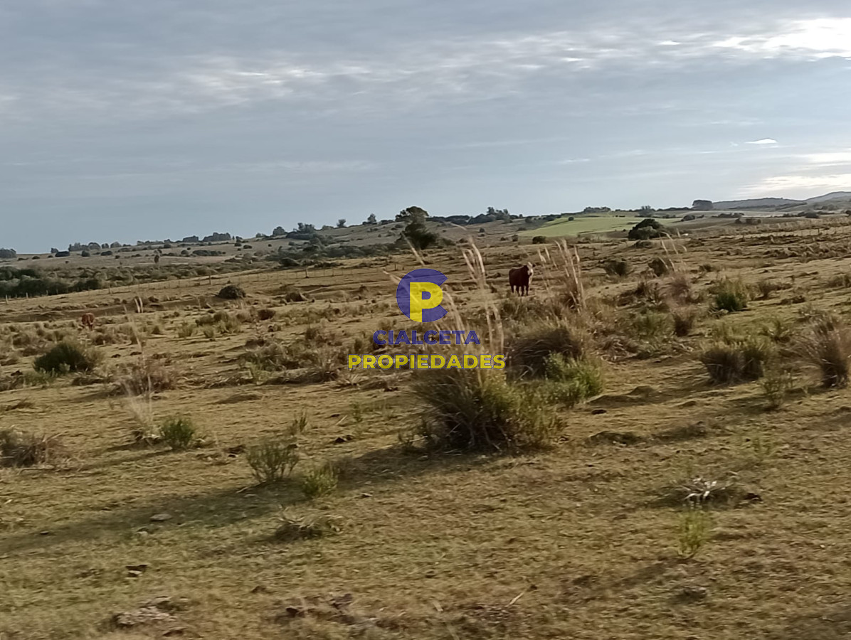 Garzon - GoPunta - Portal Inmobiliario de Punta del Este - Maldonado