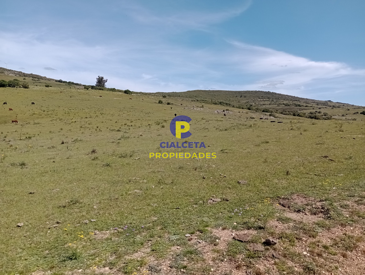 Pueblo Eden - GoPunta - Portal Inmobiliario de Punta del Este - Maldonado