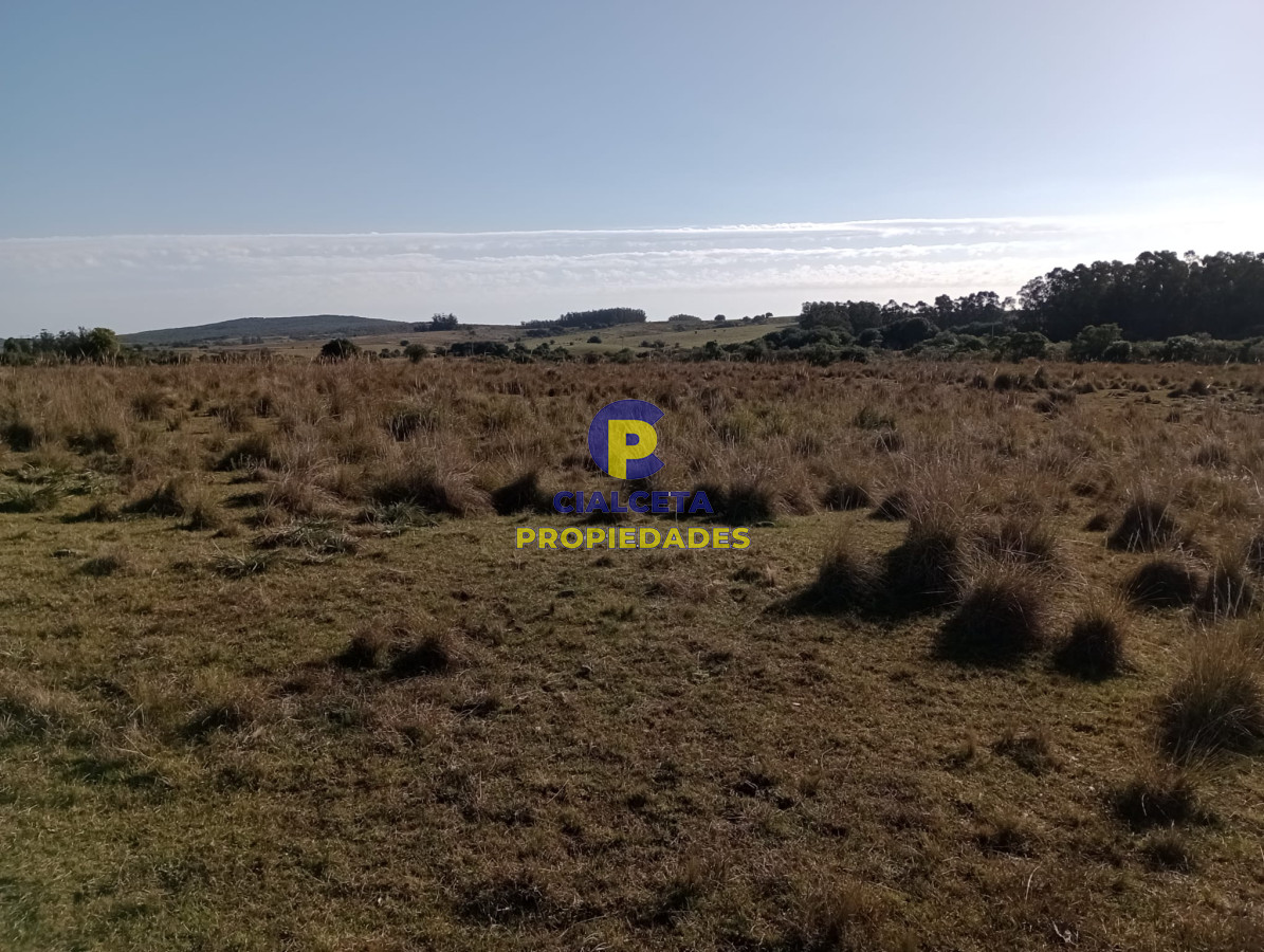 Garzon - GoPunta - Portal Inmobiliario de Punta del Este - Maldonado