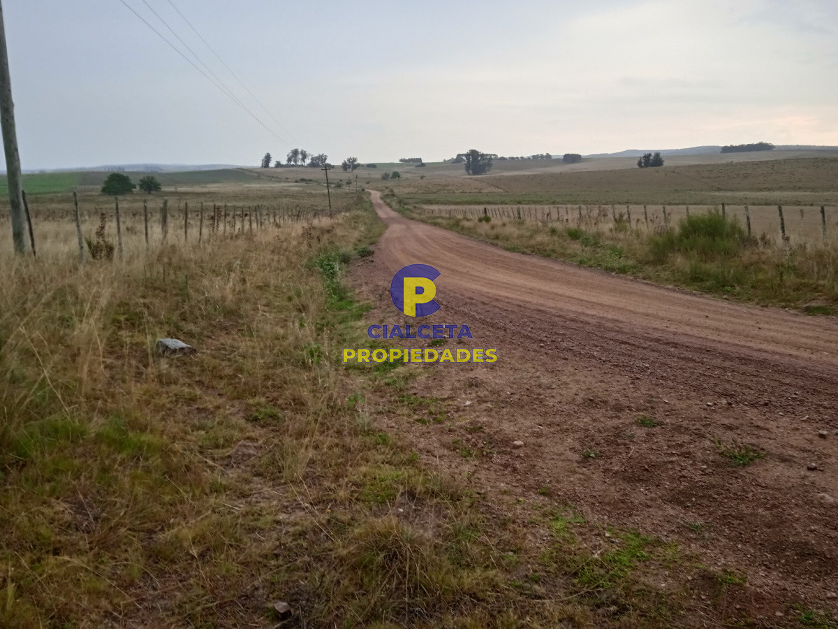 Los Talas - GoPunta - Portal Inmobiliario de Punta del Este - Maldonado