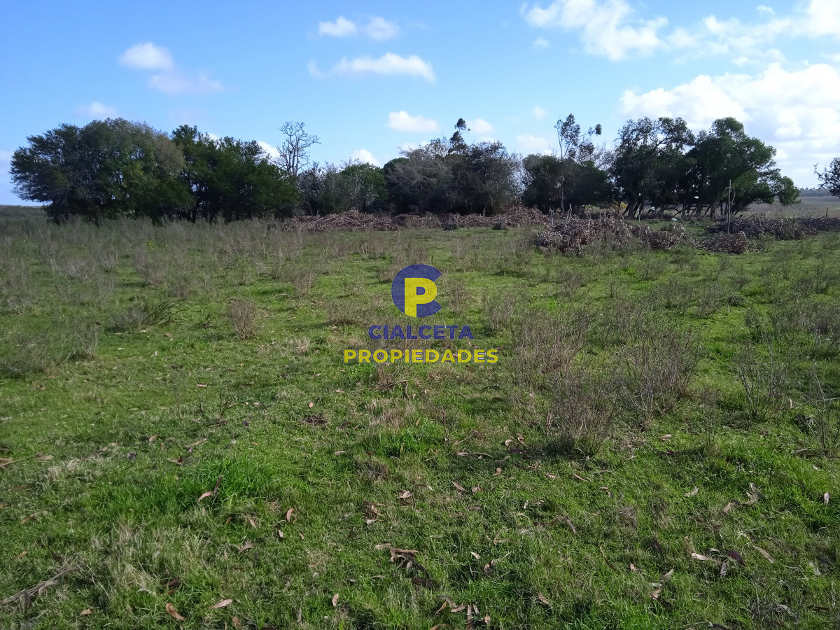 Migues - GoPunta - Portal Inmobiliario de Punta del Este - Maldonado
