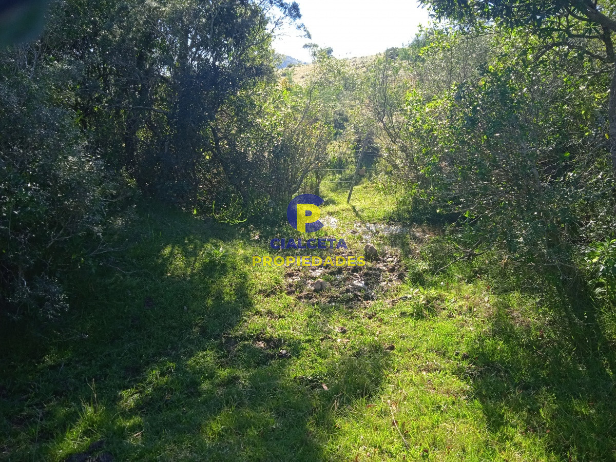 Las Cañas - GoPunta - Portal Inmobiliario de Punta del Este - Maldonado
