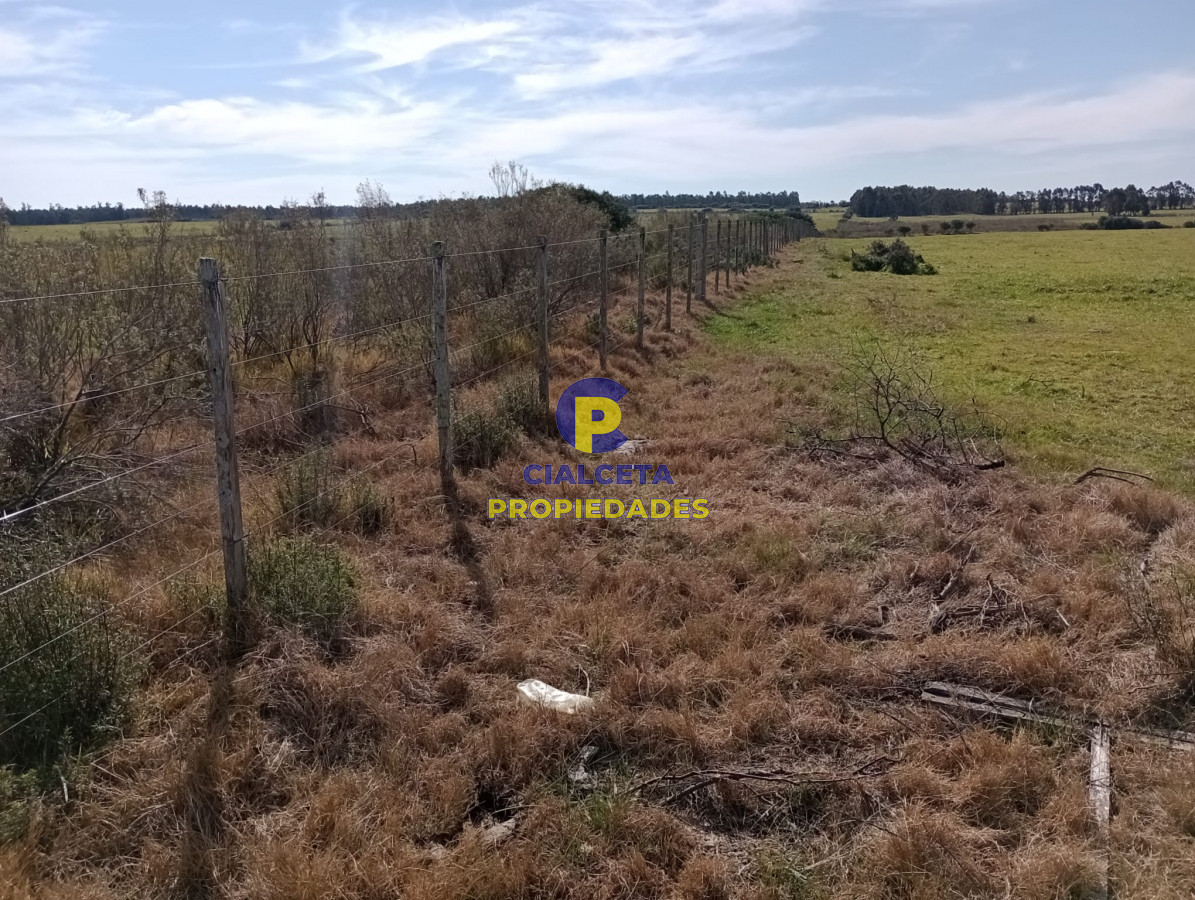 Solis - GoPunta - Portal Inmobiliario de Punta del Este - Maldonado