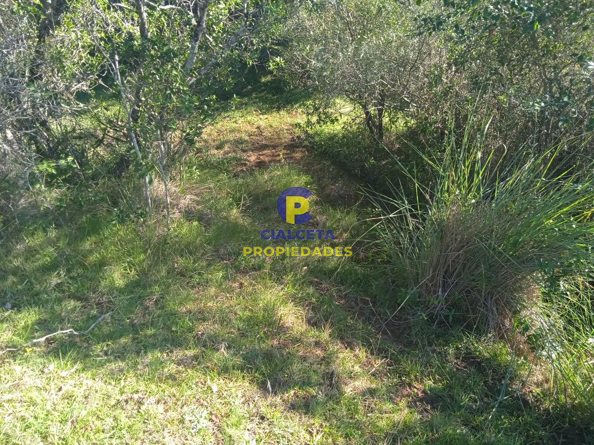 Las Cañas - GoPunta - Portal Inmobiliario de Punta del Este - Maldonado