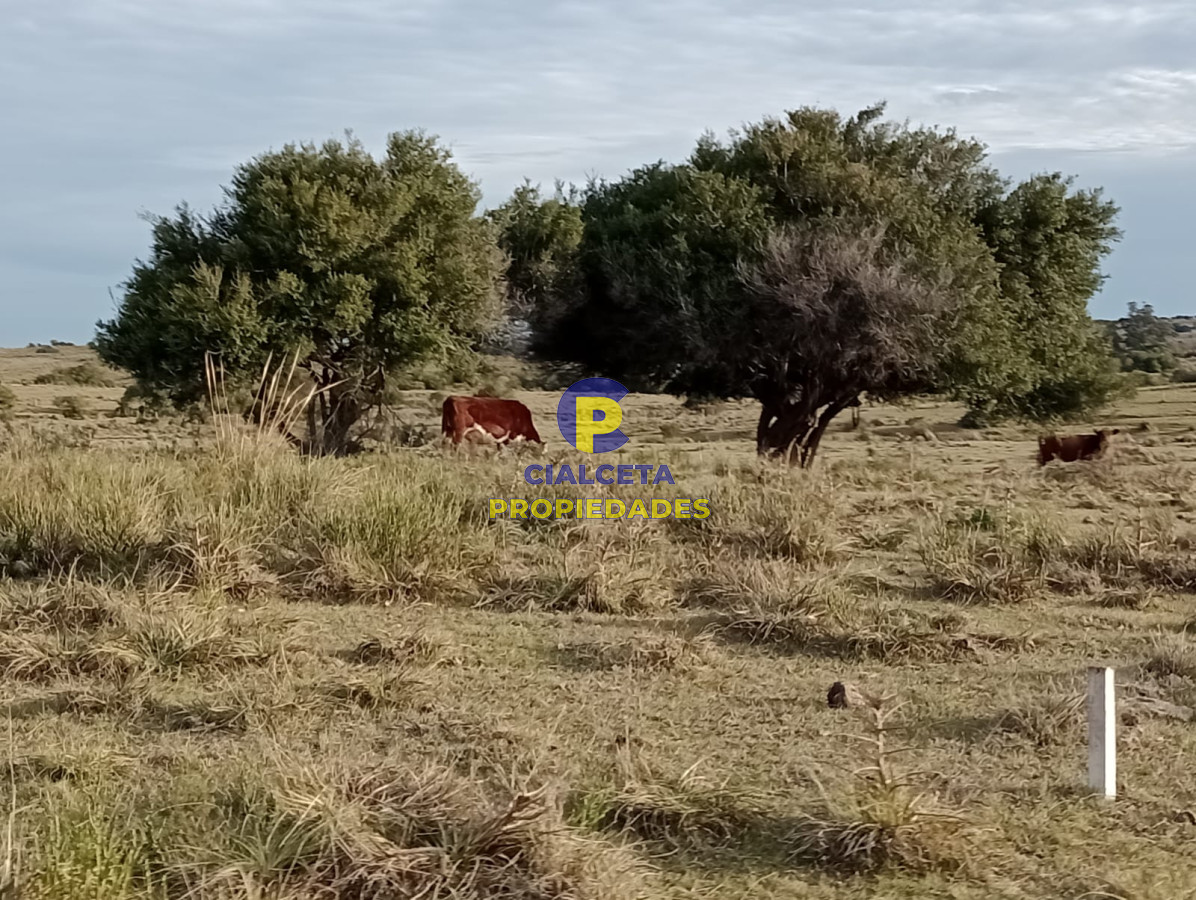 Garzon - GoPunta - Portal Inmobiliario de Punta del Este - Maldonado