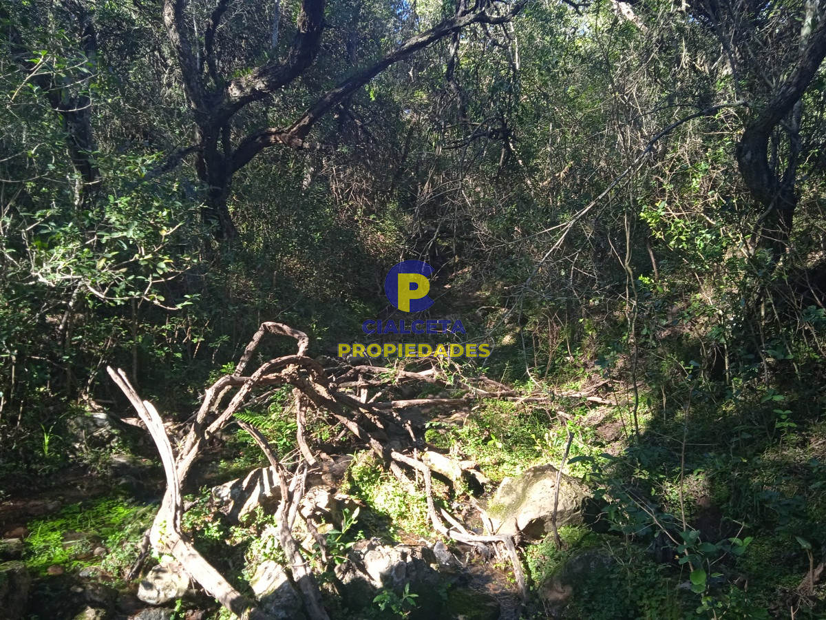 Las Cañas - GoPunta - Portal Inmobiliario de Punta del Este - Maldonado