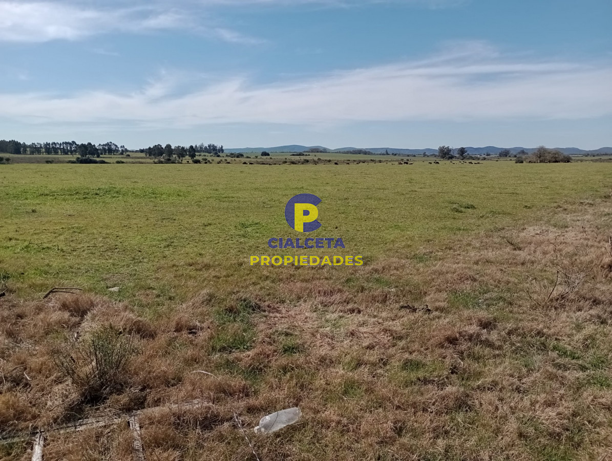 Solis - GoPunta - Portal Inmobiliario de Punta del Este - Maldonado