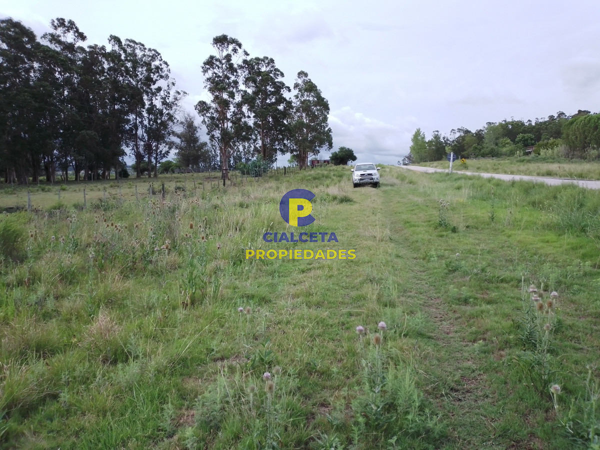 Pueblo Eden - GoPunta - Portal Inmobiliario de Punta del Este - Maldonado
