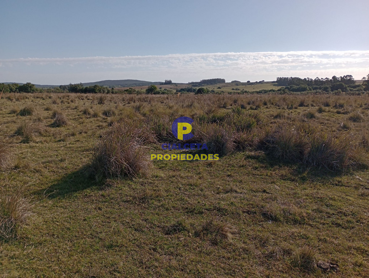 Garzon - GoPunta - Portal Inmobiliario de Punta del Este - Maldonado